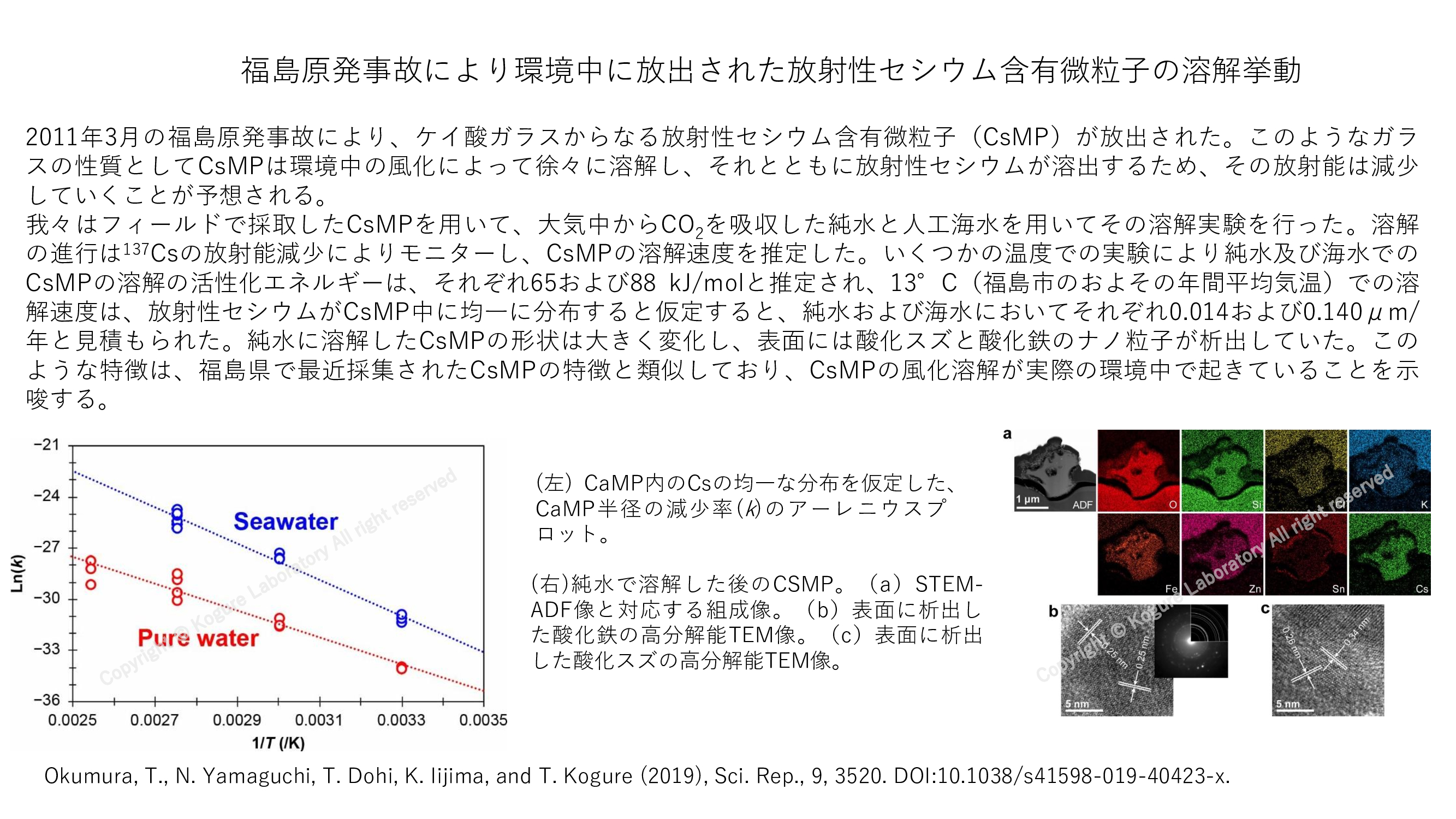 最近の研究 : 小暮研究室